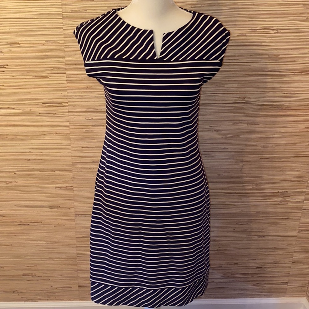 Banana republic medium navy & white stripes knit